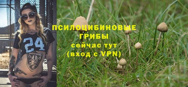 а пвп мука Нея