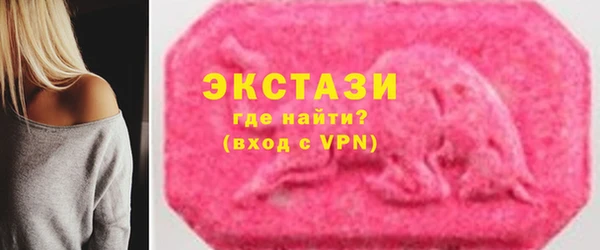 соль ск Новозыбков