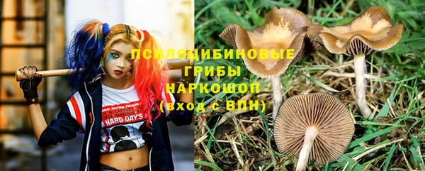 соль ск Новозыбков