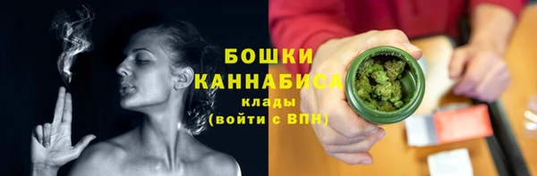 соль ск Новозыбков