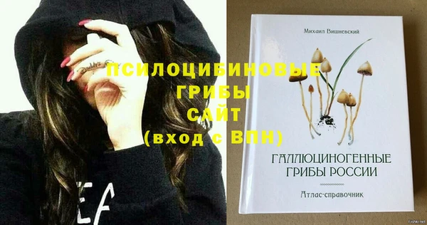 соль ск Новозыбков