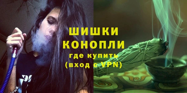 соль ск Новозыбков