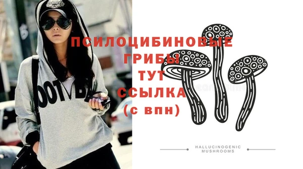 а пвп мука Нея