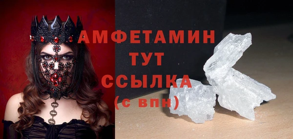соль ск Новозыбков