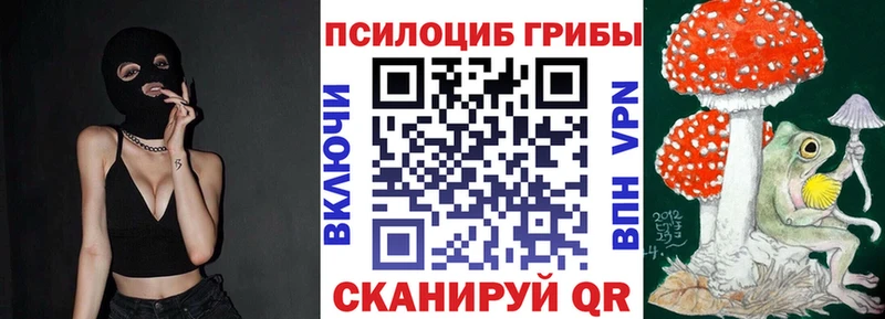 Галлюциногенные грибы прущие грибы  KRAKEN как войти  Темников 